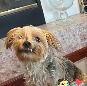 Meet your Posher, Marilu